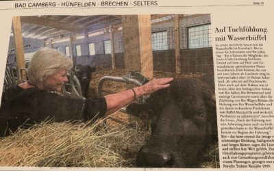 Auf Tuchfühlung mit Wasserbüffel